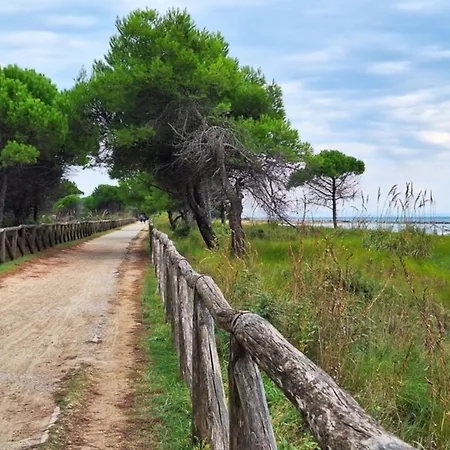 Comfort And Sea View-beahost Lejlighed *